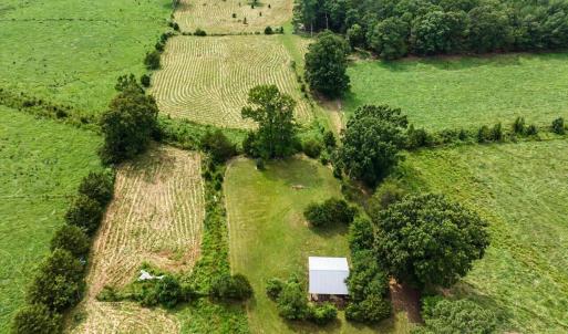 Photo #55 of 147 Carl Johnson, Snow Camp, NC 25.6 acres