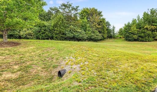 Photo #17 of 67 Lake Pointe, Yanceyville, NC 5.9 acres