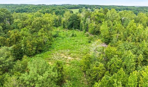 Photo #23 of 67 Lake Pointe, Yanceyville, NC 5.9 acres