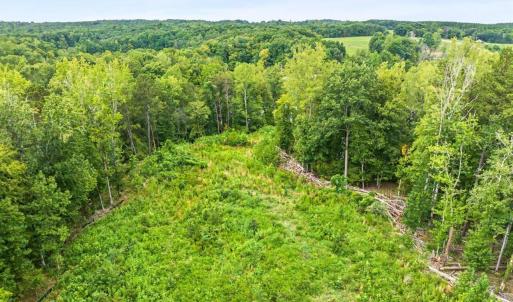 Photo #25 of 67 Lake Pointe, Yanceyville, NC 5.9 acres