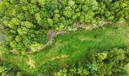 Photo #8 of 67 Lake Pointe, Yanceyville, NC 5.9 acres
