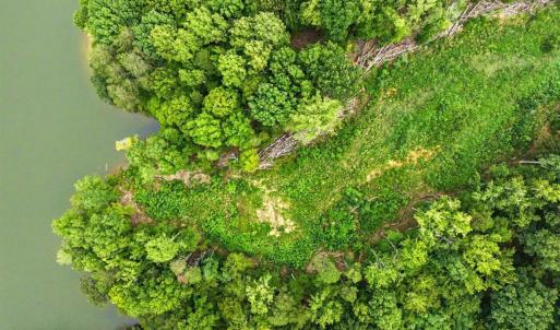 Photo #9 of 67 Lake Pointe, Yanceyville, NC 5.9 acres