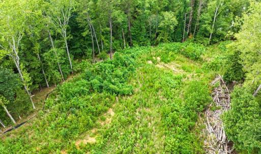 Photo #27 of 67 Lake Pointe, Yanceyville, NC 5.9 acres