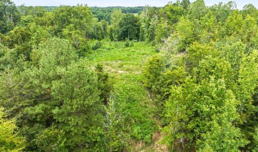 Photo #22 of 67 Lake Pointe, Yanceyville, NC 5.9 acres