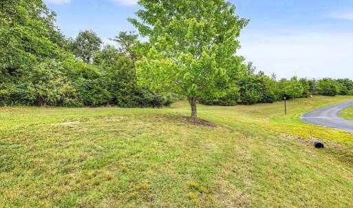 Photo #18 of 67 Lake Pointe, Yanceyville, NC 5.9 acres