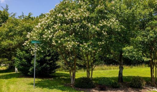 Photo #38 of 67 Lake Pointe, Yanceyville, NC 5.9 acres