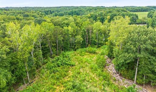 Photo #26 of 67 Lake Pointe, Yanceyville, NC 5.9 acres