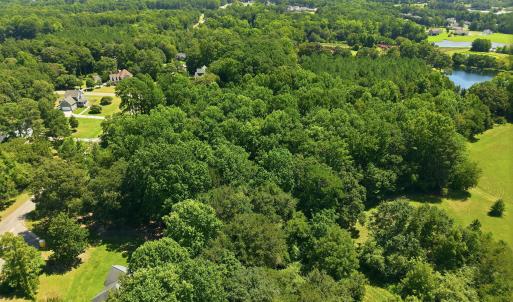 Photo #5 of 205 Teresa, Angier, NC 2.1 acres
