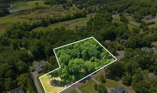 Photo #1 of 205 Teresa, Angier, NC 2.1 acres