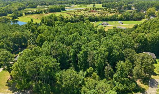 Photo #3 of 205 Teresa, Angier, NC 2.1 acres
