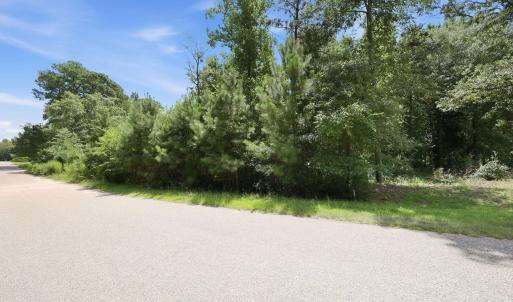 Photo #14 of 205 Teresa, Angier, NC 2.1 acres