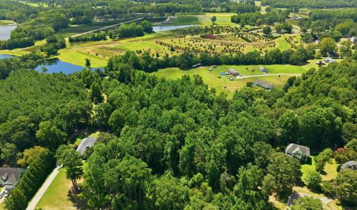 Photo #11 of 205 Teresa, Angier, NC 2.1 acres