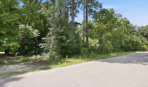 Photo #15 of 205 Teresa, Angier, NC 2.1 acres