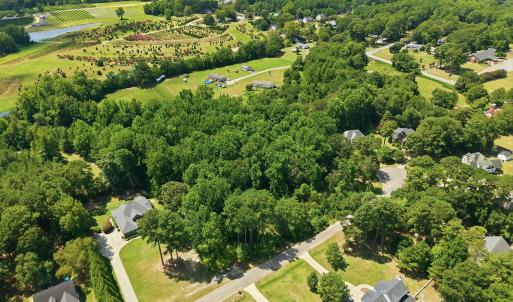 Photo #12 of 205 Teresa, Angier, NC 2.1 acres