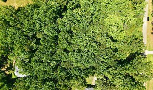 Photo #10 of 205 Teresa, Angier, NC 2.1 acres