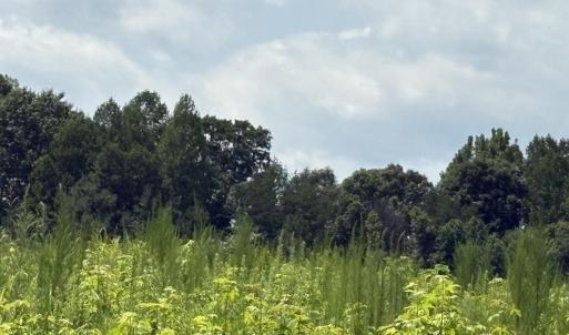 Photo #2 of Lot 2 Sams, Mebane, NC 4.7 acres