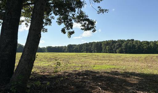 Photo #2 of Lot 3 Sams, Mebane, NC 4.1 acres