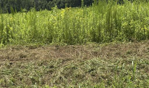 Photo #3 of Lot 5 Oak Grove Church, Mebane, NC 6.7 acres