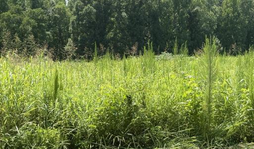 Photo #2 of Lot 5 Oak Grove Church, Mebane, NC 6.7 acres