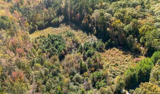 Photo #2 of 1205 Terry, Durham, NC 1.6 acres