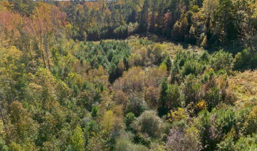 Photo #6 of 1205 Terry, Durham, NC 1.6 acres