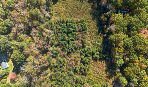 Photo #7 of 1205 Terry, Durham, NC 1.6 acres