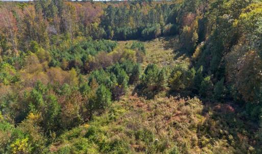 Photo #4 of 1205 Terry, Durham, NC 1.6 acres