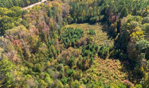 Photo #1 of 1205 Terry, Durham, NC 1.6 acres
