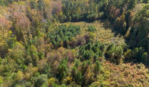 Photo #3 of 1205 Terry, Durham, NC 1.6 acres