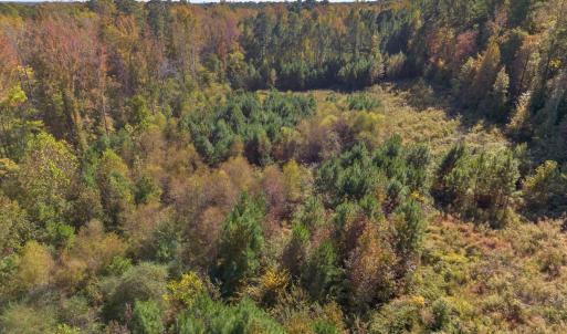 Photo #5 of 1205 Terry, Durham, NC 1.6 acres