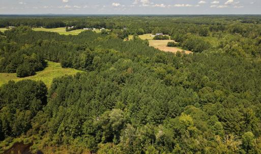 Photo #4 of (tract C) Brassfield, Creedmoor, NC 22.4 acres