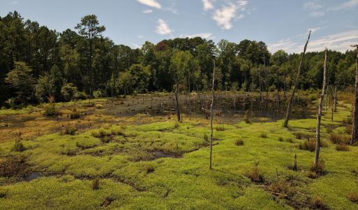 Photo #9 of (tract C) Brassfield, Creedmoor, NC 22.4 acres