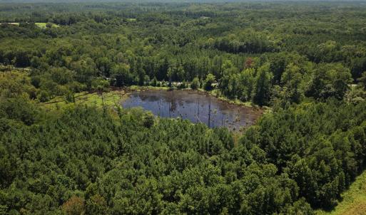 Photo #7 of (tract C) Brassfield, Creedmoor, NC 22.4 acres