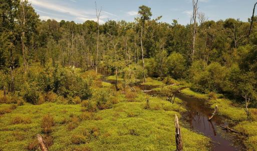 Photo #10 of (tract C) Brassfield, Creedmoor, NC 22.4 acres
