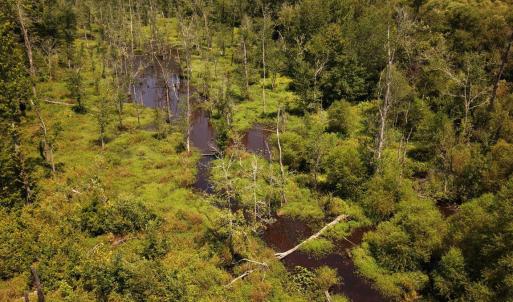 Photo #8 of (tract C) Brassfield, Creedmoor, NC 22.4 acres