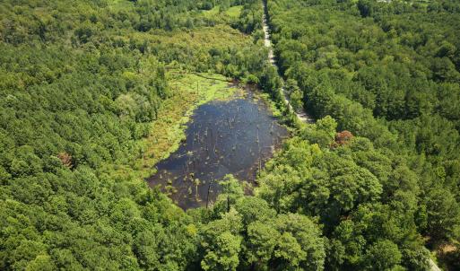 Photo #12 of (tract C) Brassfield, Creedmoor, NC 22.4 acres