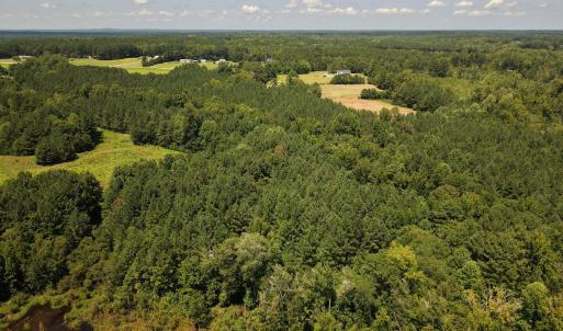 Photo #4 of (tract C) Brassfield, Creedmoor, NC 22.4 acres