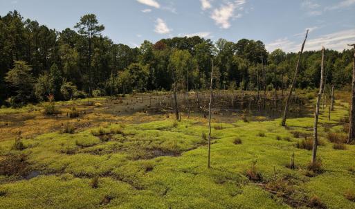 Photo #9 of (tract C) Brassfield, Creedmoor, NC 22.4 acres