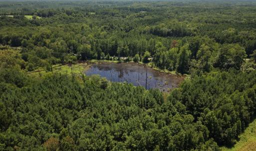 Photo #7 of (tract C) Brassfield, Creedmoor, NC 22.4 acres
