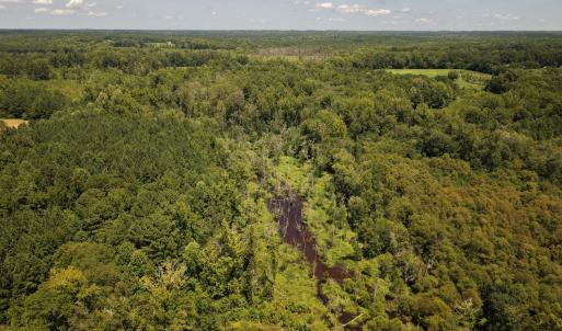 Photo #5 of (tract C) Brassfield, Creedmoor, NC 22.4 acres