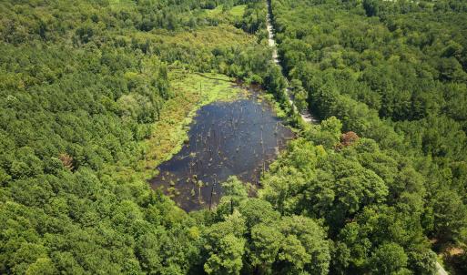 Photo #12 of (tract C) Brassfield, Creedmoor, NC 22.4 acres