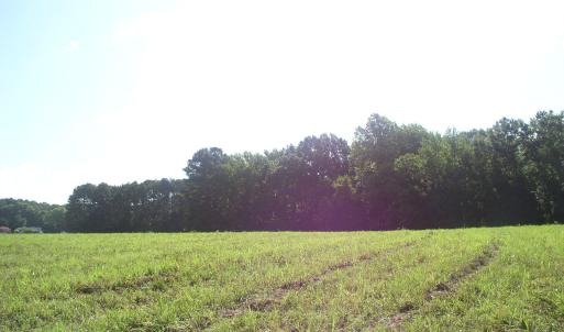 Photo #13 of 140 Bonnie Harris, Louisburg, NC 64.0 acres