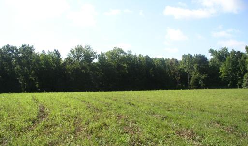Photo #12 of 140 Bonnie Harris, Louisburg, NC 64.0 acres