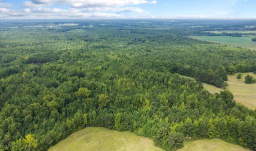 Photo #22 of 140 Bonnie Harris, Louisburg, NC 64.0 acres