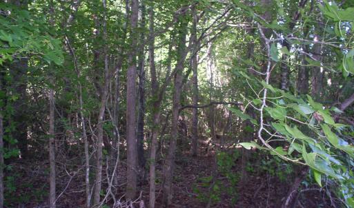 Photo #15 of 140 Bonnie Harris, Louisburg, NC 64.0 acres