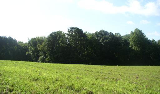 Photo #6 of 140 Bonnie Harris, Louisburg, NC 64.0 acres