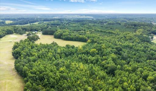 Photo #24 of 140 Bonnie Harris, Louisburg, NC 64.0 acres
