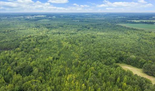 Photo #23 of 140 Bonnie Harris, Louisburg, NC 64.0 acres