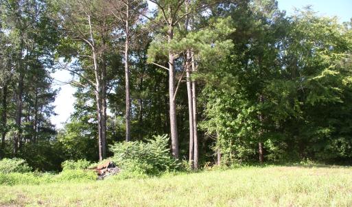 Photo #9 of 140 Bonnie Harris, Louisburg, NC 64.0 acres