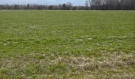 Photo #1 of Bethel Baptist, Spring Lake, NC 38.1 acres